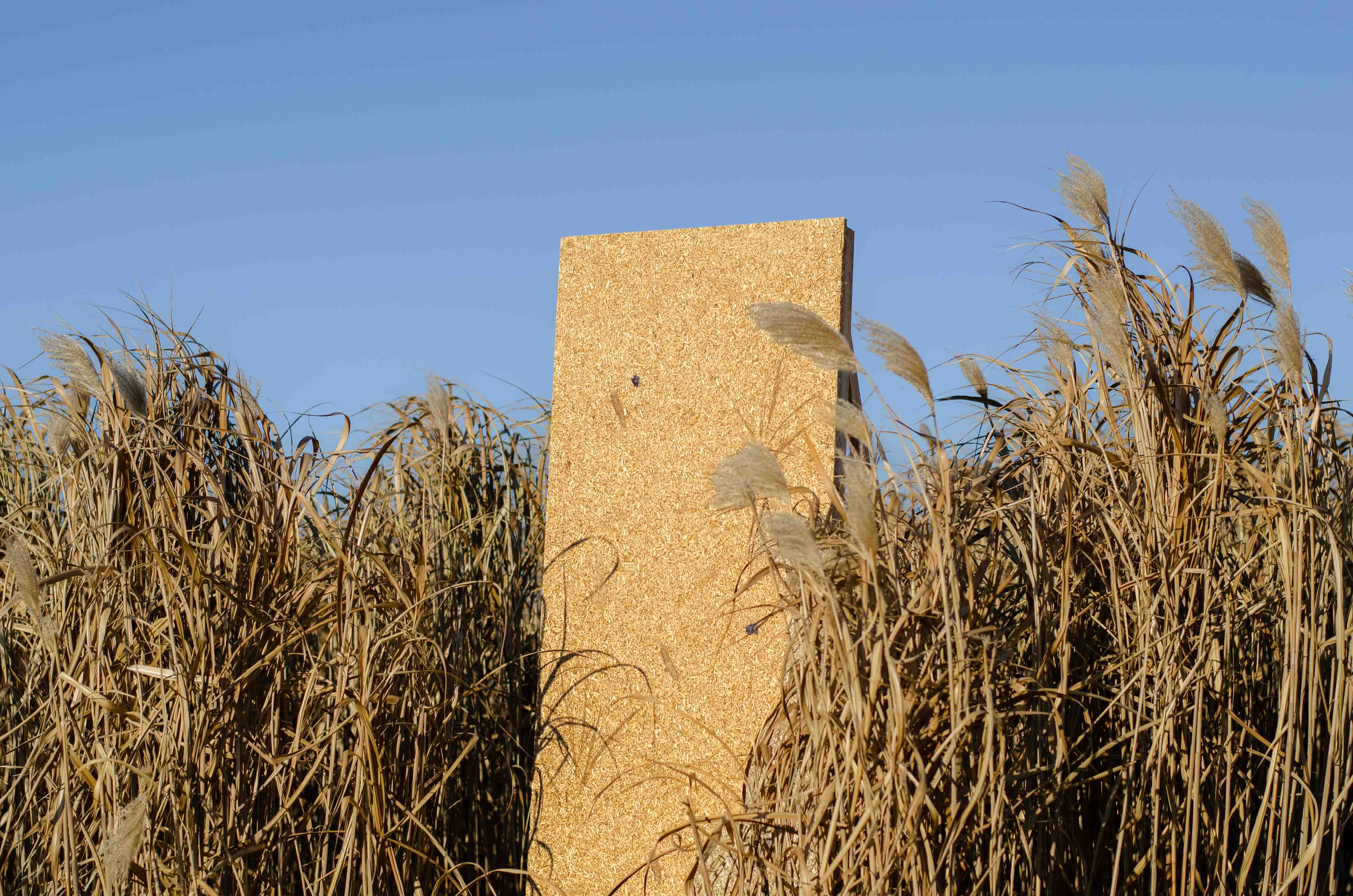 Acoustic Panel Made from Plant Fibres