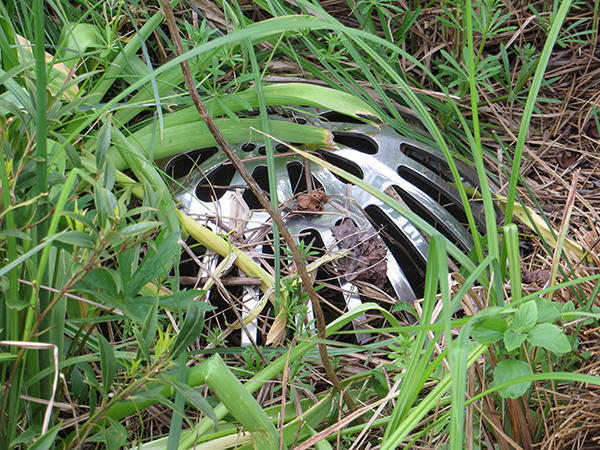 Mike Brearley's drain cover