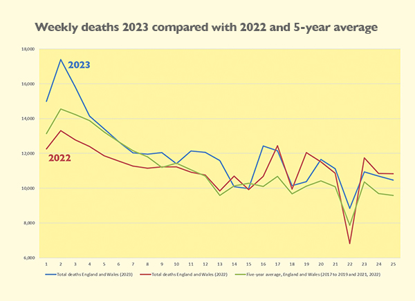 weekly deaths