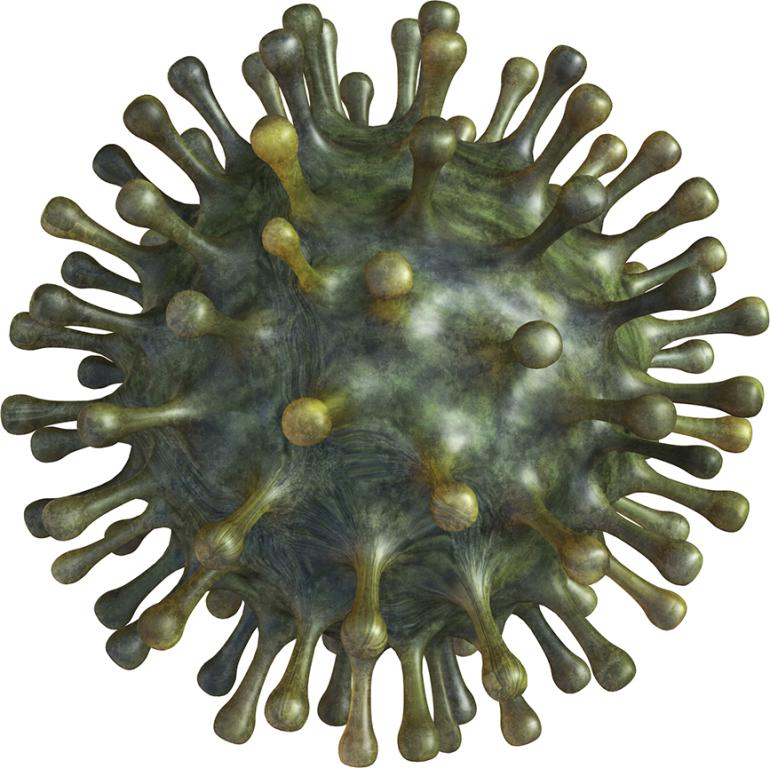 Covid virus