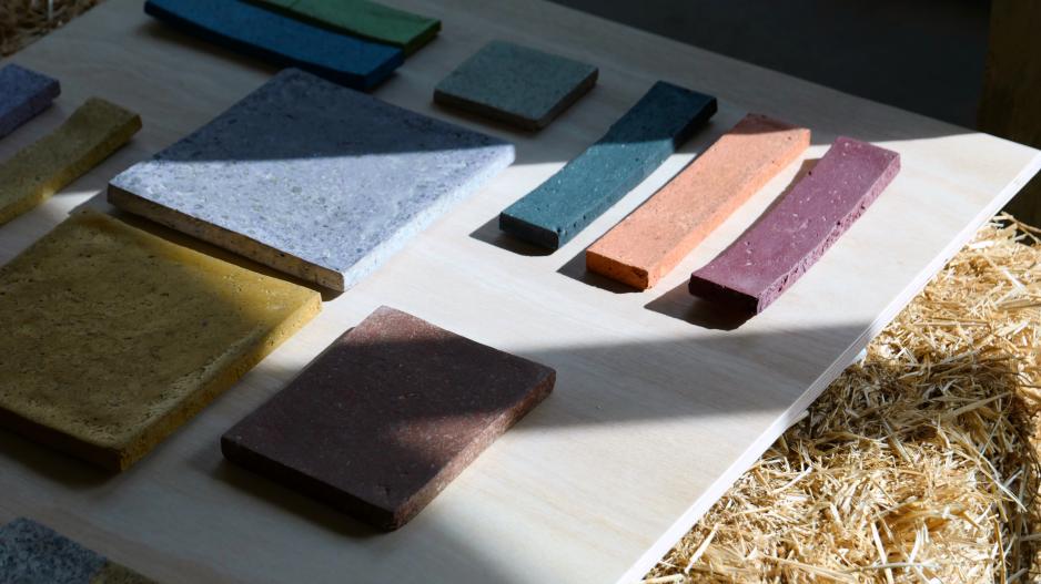 Image Credit: Philip Vile