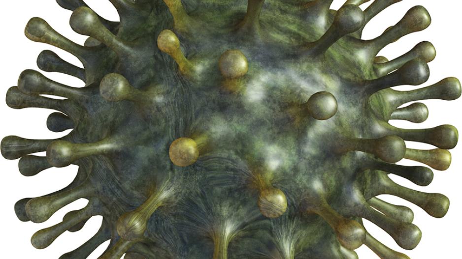 Covid virus