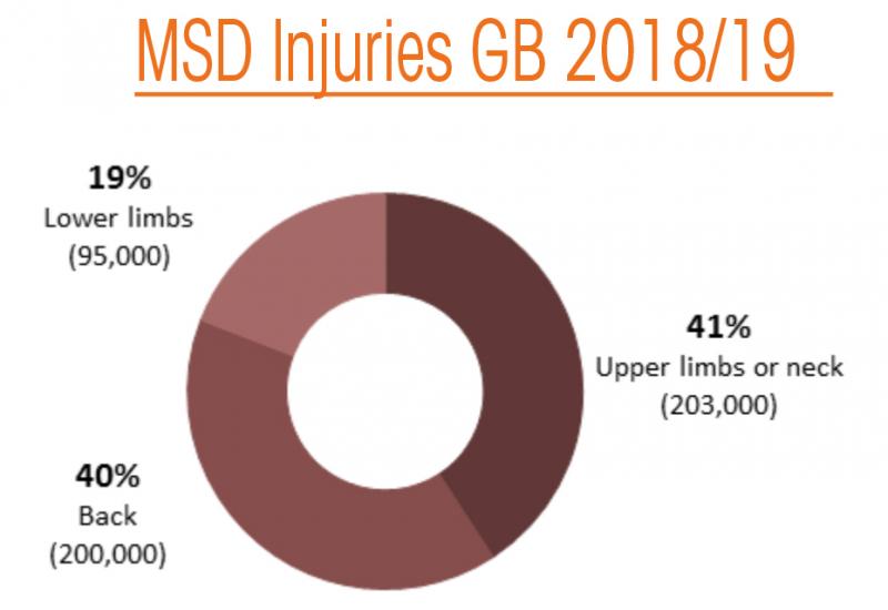 MSD injuries in GB MSD