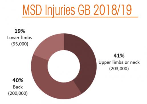 MSD injuries in GB MSD