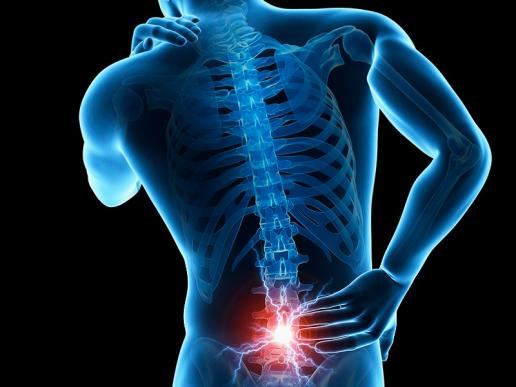 Musculoskeletal