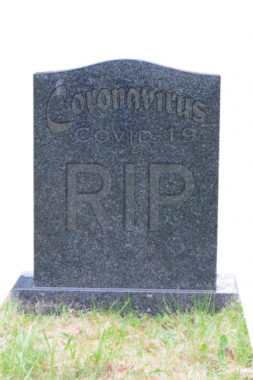Covid-19 headstone Covid-19 headstone