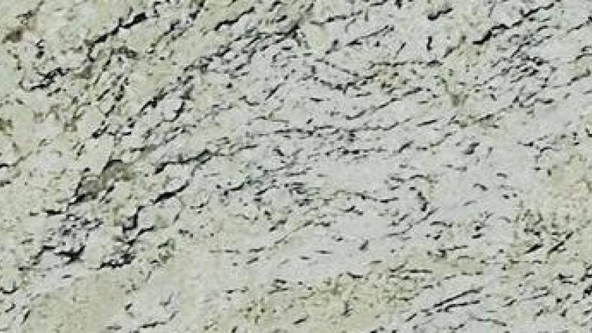 Delicatus Cream
