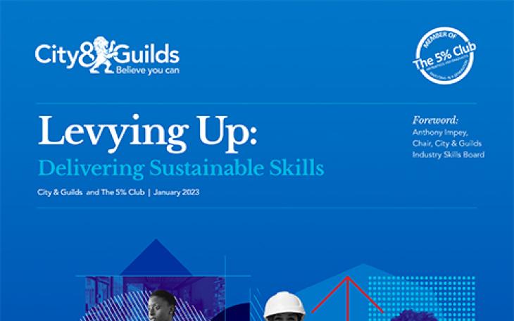 Levying Up: Delivering Sustainable Skills
