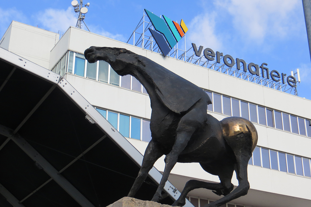 Lo Stallone Lo Stallone